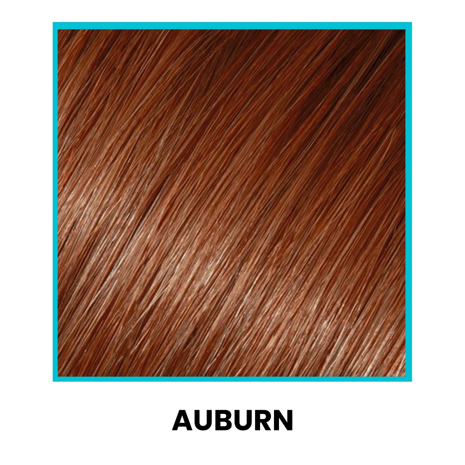 Hair Fiber Value Package (23% Savings) swatch