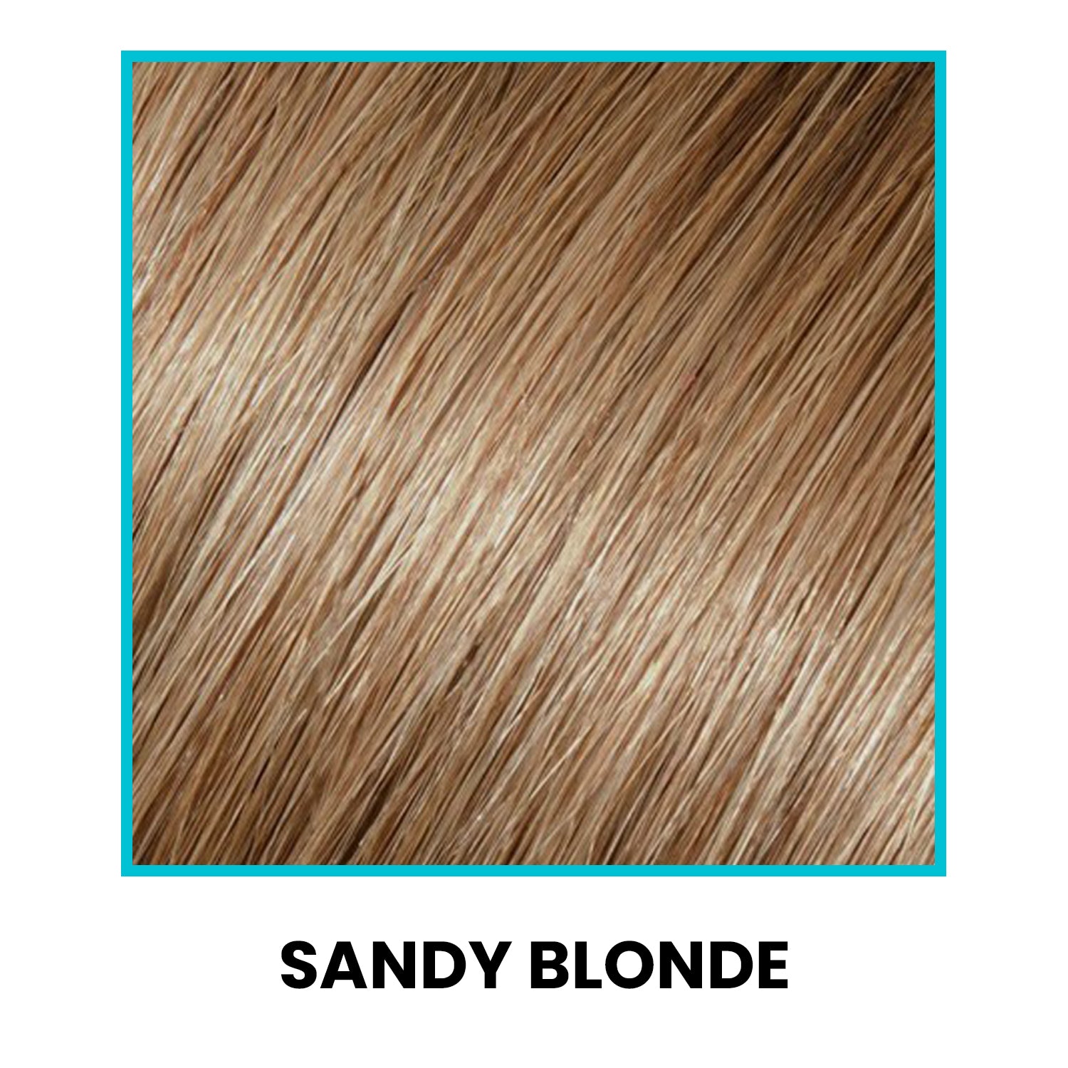 Hair Fiber Value Package (23% Savings) swatch